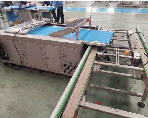 কেনা 60% -78% জল নরম ময়দার ব্যাগুয়েট লাইন পিএলসি নিয়ন্ত্রণ সিস্টেম ধারণ করে অনলাইনে উৎপাদন